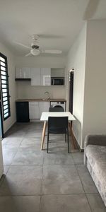 Location Appartement 1 pièce Meublé 18m² ST PIERRE SUR DIVES 14170 - Photo 4