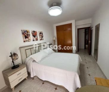 Piso en alquiler en Avenida - Photo 3