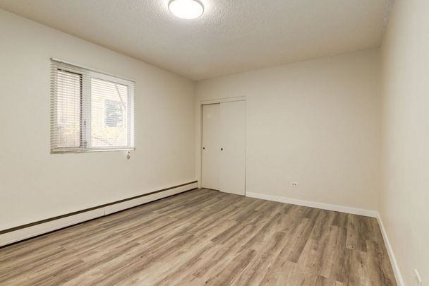 Renovated Suite - 1 Bedroom - Photo 1