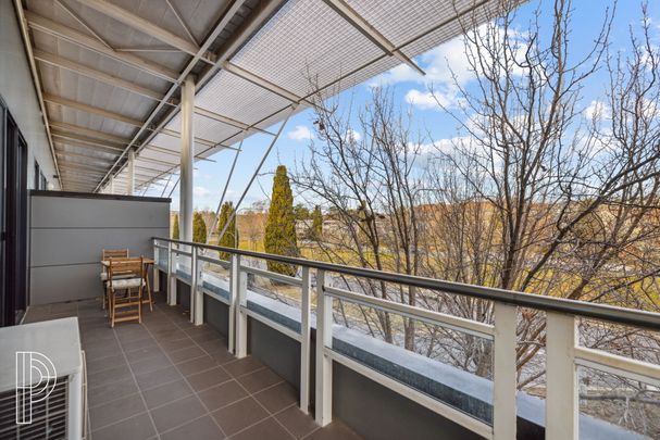 5/45 Wentworth Avenue, Kingston ACT 2604 - Apartment For Rent | Domain - Photo 1