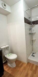 Location Appartement 1 pièce 19m² MULHOUSE 68100 - Photo 3