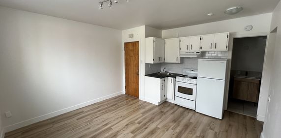 31/2 Vieux Nord - Photo 2