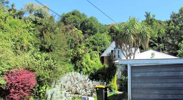 Charming Home in North Dunedin! - Photo 1