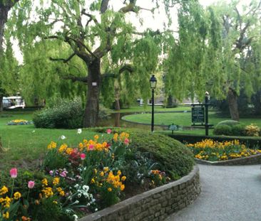 Appartement 24 m² - 1 pièce - Le Chesnay Rocquencourt (78150) - Photo 5