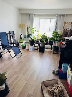 Appartement à louer - Photo 1