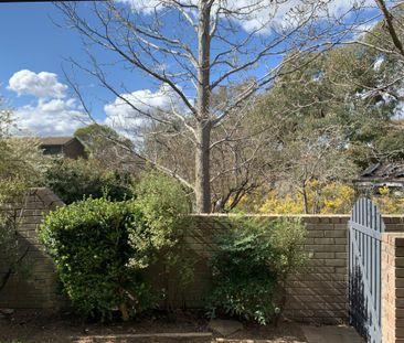 105 Barnet Close, SWINGER HILL ACT, Belconnen - Photo 5