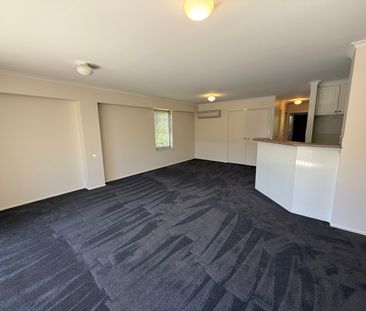 K4/2 Currie Crescent, Griffith ACT 2603 - Apartment For Rent | Domain - Photo 5