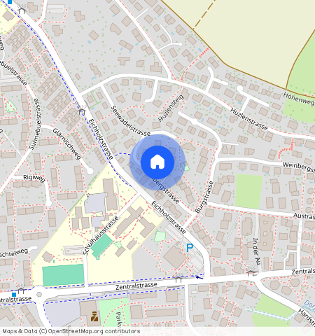 Wallbergstr, 2, 8604 Volketswil