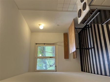 1.5 Zimmer, EG - Photo 3