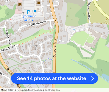 Gosport Lane, Lyndhurst - Photo 1