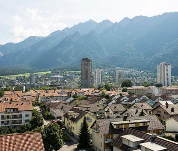 In der Abendsonne - Foto 3