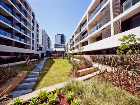 743/8 Ascot Avenue, Zetland - Photo 5