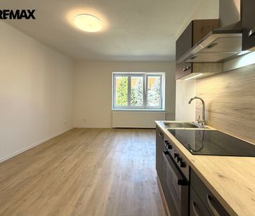 Pronájem bytu 1+kk v osobním vlastnictví 30 m², Ořech - Fotografie 3