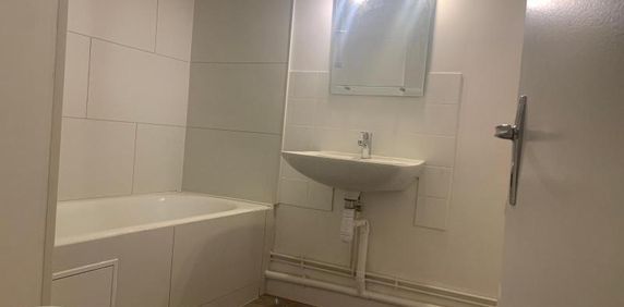 Location Appartement 1 pièce 22m² MACON 71000 - Photo 2