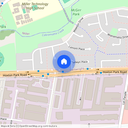 6 Selwyn Place, NSW 2168, Cartwright