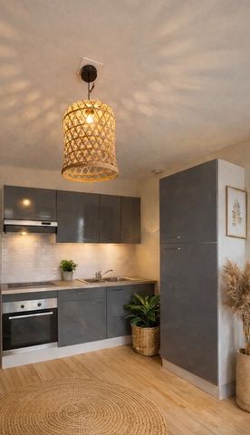 Location Appartement 1 pièce 20m² NANCY 54000 - Photo 3