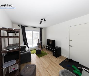 2465 rue Père-Lelièvre - Photo 3