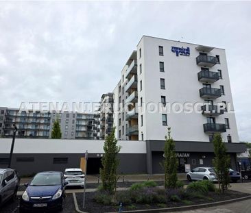 Mieszkanie Bydgoszcz Kapuściska powierzchnia 35.3 m² C265-WM-82550 - Photo 5