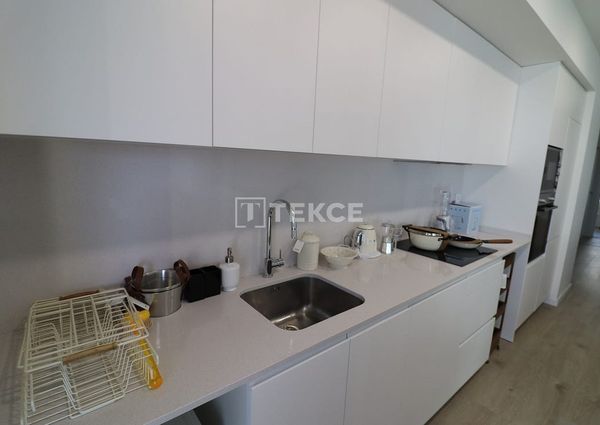 Badalona, La Morera, Barcelona, Catalonia 08918