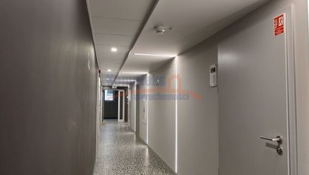 Stare Miasto, ul. Wielka Odrzańska, Szczecin - Photo 4