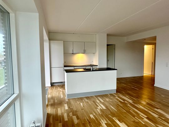 Moderne lejlighed med stor altan og tagterrasse i Aalborg - Photo 1