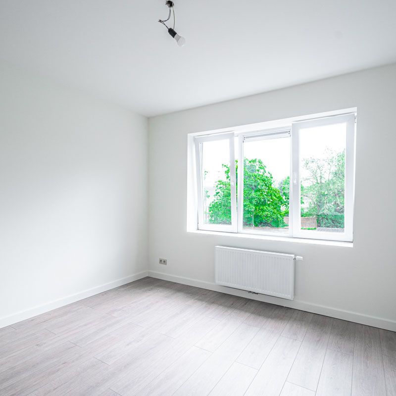 Steenweg op Antwerpen 21 bus 3, Turnhout - Foto 1