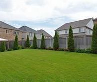 For Lease - 1684 Gower Drive Unit# Basement, Oshawa, Ontario - Photo 1