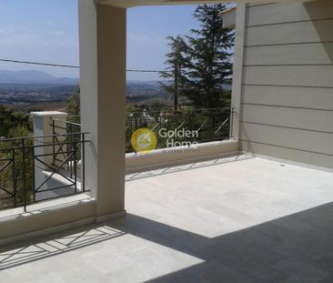 Μονοκατοικία 300 τ.μ. προς ενοικίαση - Photo 1