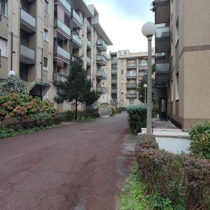 Trilocale in affitto - Photo 2