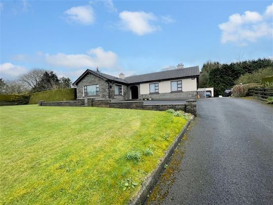 Haylands House, Haylands, Dublin Road,, Blessington, Wicklow, W91 FY59 - Photo 1