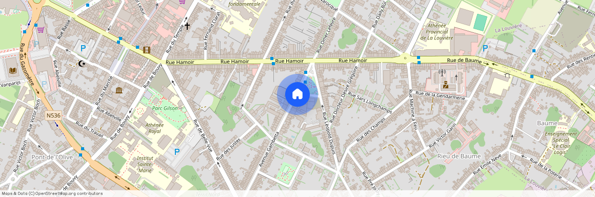 Avenue Gambetta, 90, 7100, La Louvière