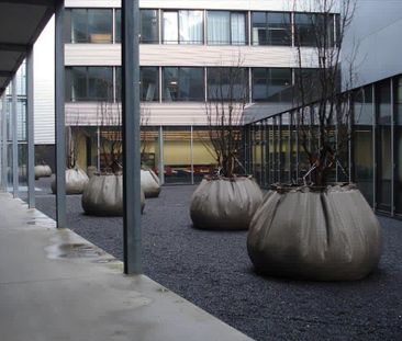 4.5 Zimmer, 132 m², 5. Stock - Photo 5