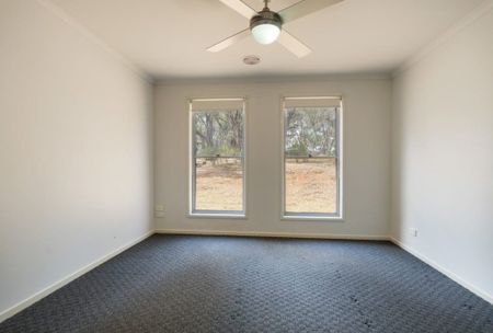 19 Palmerston Street, Newstead - Photo 2