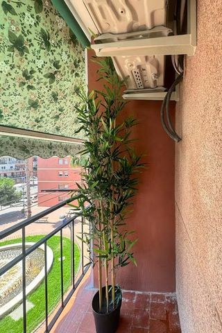 Calle Rosa, Getafe, Community of Madrid 28903 - Foto 4