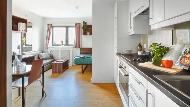 Deluxe Studio - Photo 1