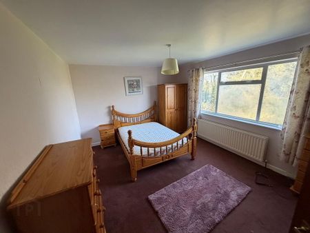101 Doogary Road, Omagh, BT79 0BW - Photo 4