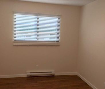 1 Bedroom - Renovated - Photo 5