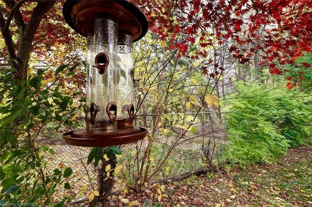 For Lease - 2458 NEWPORT Street Unit# Lower, Burlington, Ontario - Photo 1