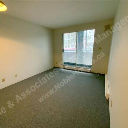 3XXX Windsor Street 202 Vancouver - Photo 4