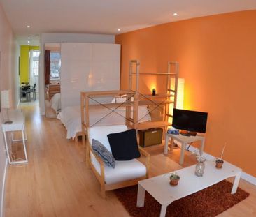 3 1/2 - Montréal (La Petite-Patrie) - 1 450 $/mois - Photo 2