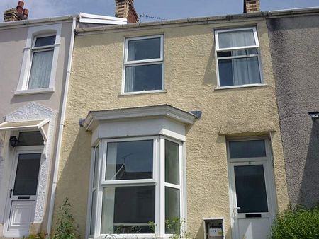 Double Room, Victoria Terrace, Brynmill *Students & Professionals* - Photo 3