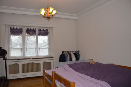 Location Appartement 3 pièces 98m² ALTKIRCH 68130 - Photo 3