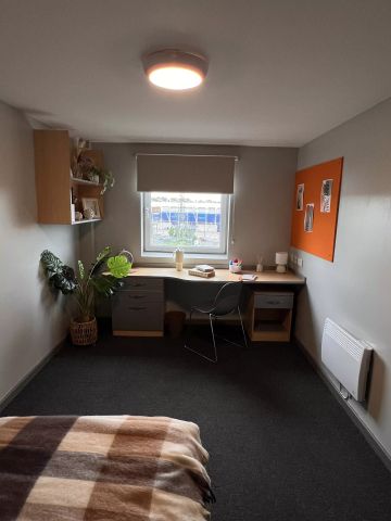 Premium Plus Ensuite - Photo 3