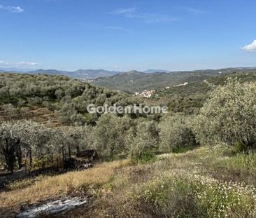 Μονοκατοικία για ενοικίαση Κέντρο (Μηλιές) - Φωτογραφία 2