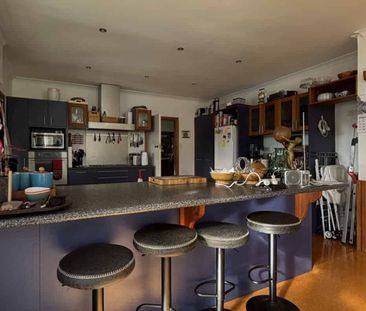 Waikanae - 4 Bedrooms - Photo 4