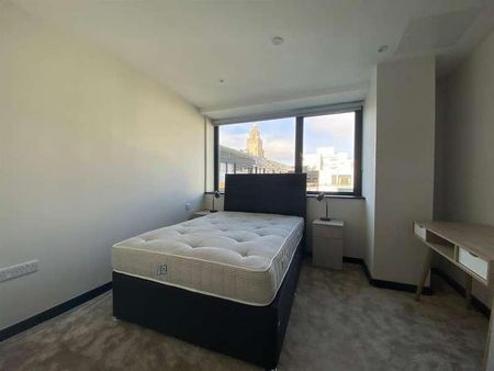 The Strand, Drury Lane, Liverpool, L2 - Photo 5