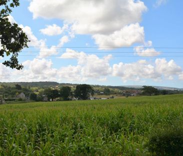 2 bedroom bungalow to rent - Photo 5