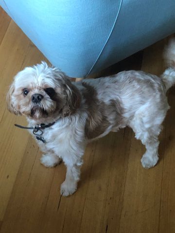 West Footscray - Photo 3