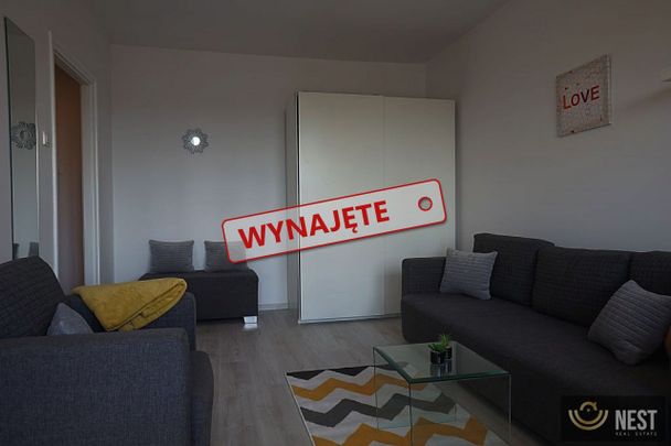 Kawalerka do wynajęcia w samym centrum miasta ! - Zdjęcie 1