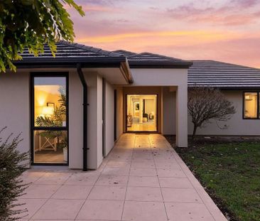 Luxury Fully Furnished Rooms - Minutes from CBD - Photo 5